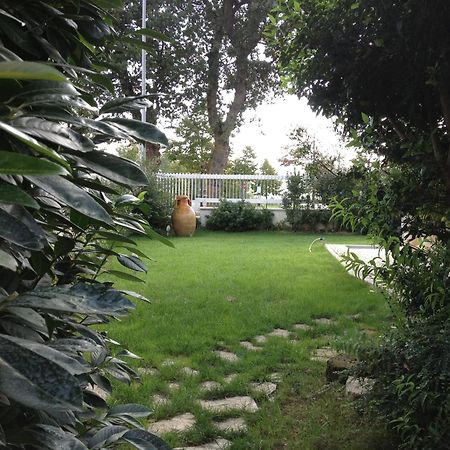 Villa Gioia Rooms Montegranaro Extérieur photo